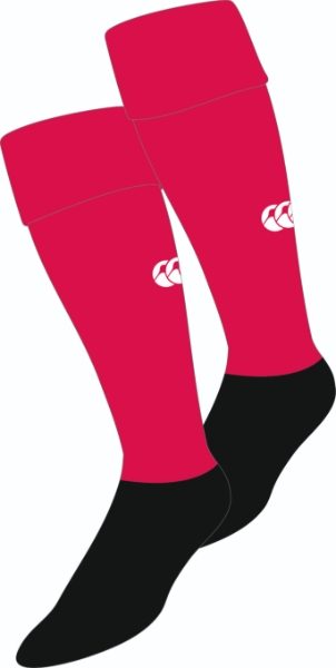 Watford RFC Socks